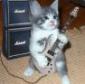 mbasheer's picture