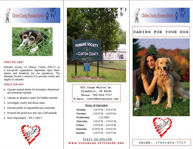 Caring For Your Dog