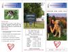Caring For Your Dog
